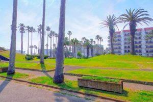 外国人のお客様からの問い合わせ-Can I ask you about...